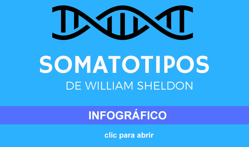 Los somatotipos de William Sheldon