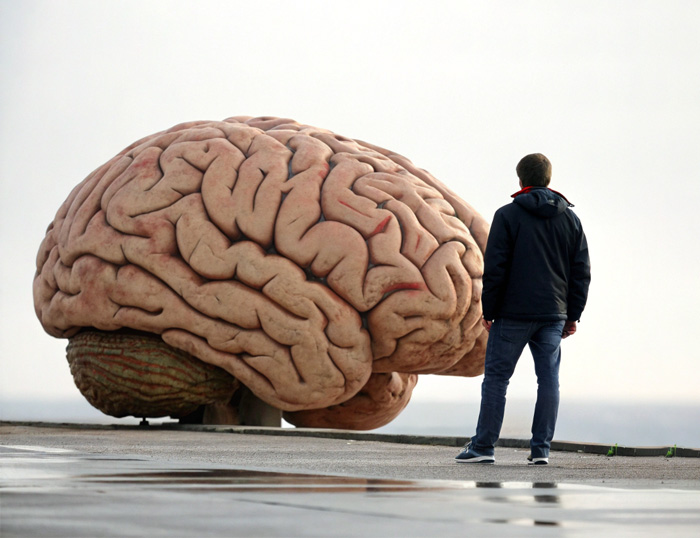 El Quinto Cerebro: no es solamente un libro