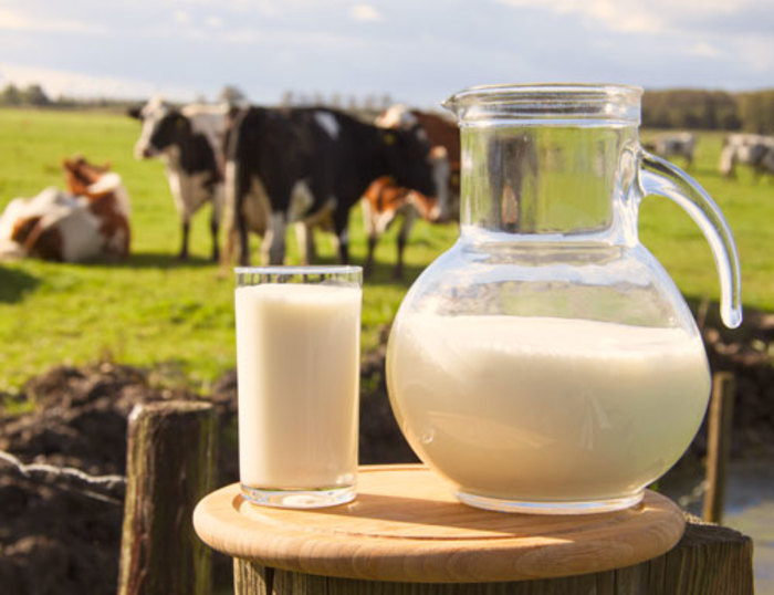 ¿Debemos consumir leche?