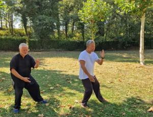 Tai-chi, chi-kung (qigong) y meditación en la naturaleza